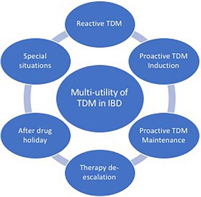 Multi-utility of therapeutic drug monitoring in inflammatory bowel diseases